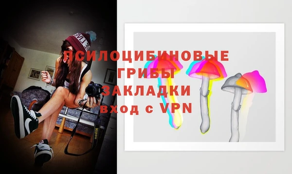 каннабис Верея