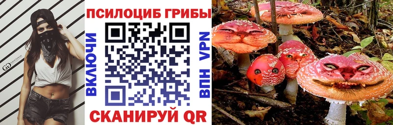 Галлюциногенные грибы Psilocybine cubensis  Купить  Благодарный 