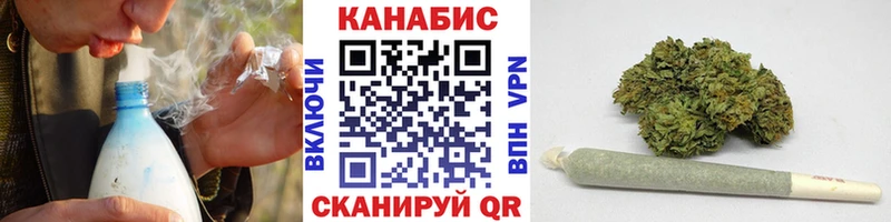 Бошки Шишки планчик  Купить где  Благодарный 